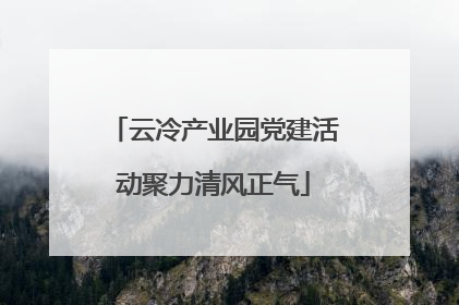 云冷产业园党建活动聚力清风正气