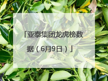 亚泰集团龙虎榜数据（6月9日）