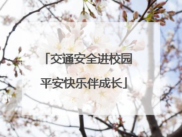 交通安全进校园 平安快乐伴成长