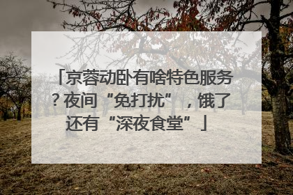 京蓉动卧有啥特色服务？夜间“免打扰”，饿了还有“深夜食堂”