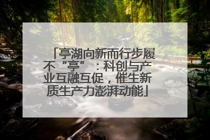 亭湖向新而行步履不“亭”：科创与产业互融互促，催生新质生产力澎湃动能