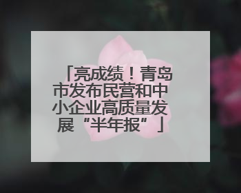 亮成绩！青岛市发布民营和中小企业高质量发展“半年报”