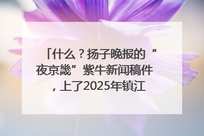 什么？扬子晚报的“夜京畿”紫牛新闻稿件，上了2025年镇江中考模拟卷！