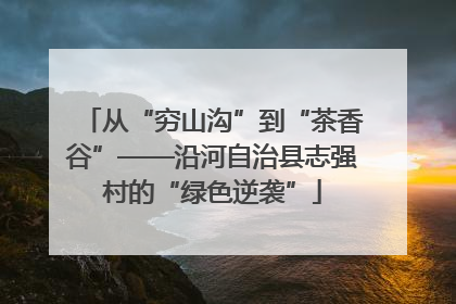从“穷山沟”到“茶香谷”——沿河自治县志强村的“绿色逆袭”
