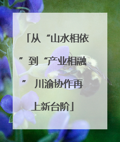 从“山水相依”到“产业相融” 川渝协作再上新台阶