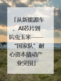 从新能源车、AI芯片到抗虫玉米——“国家队”耐心资本撬动产业突围