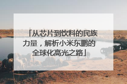 从芯片到饮料的民族力量，解析小米东鹏的全球化高光之路