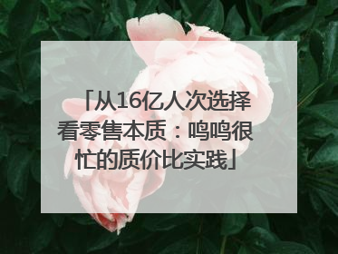 从16亿人次选择看零售本质：鸣鸣很忙的质价比实践