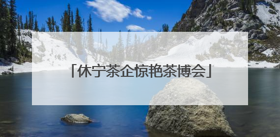 休宁茶企惊艳茶博会