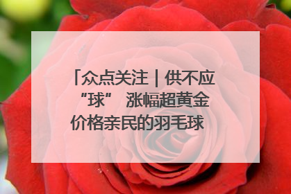 众点关注｜供不应“球” 涨幅超黄金 价格亲民的羽毛球为何身价飞涨？