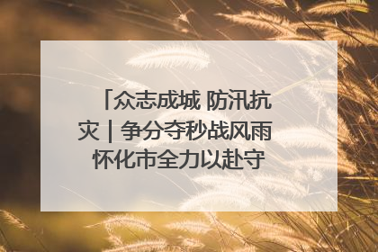 众志成城 防汛抗灾｜争分夺秒战风雨 怀化市全力以赴守护人民群众安全