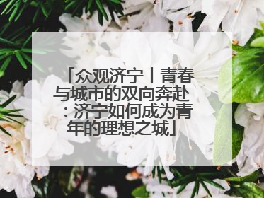 众观济宁丨青春与城市的双向奔赴：济宁如何成为青年的理想之城