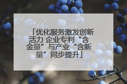 优化服务激发创新活力 企业专利“含金量”与产业“含新量”同步提升