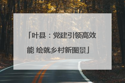叶县：党建引领高效能 绘就乡村新图景