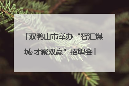 双鸭山市举办“智汇煤城·才聚双赢”招聘会
