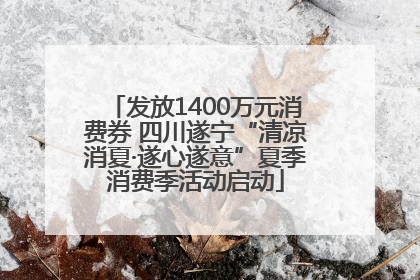 发放1400万元消费券 四川遂宁“清凉消夏·遂心遂意”夏季消费季活动启动