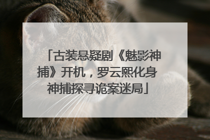 古装悬疑剧《魅影神捕》开机，罗云熙化身神捕探寻诡案迷局