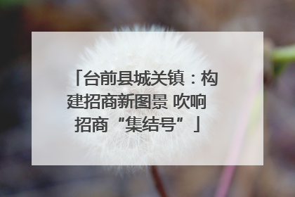 台前县城关镇：构建招商新图景 吹响招商“集结号”