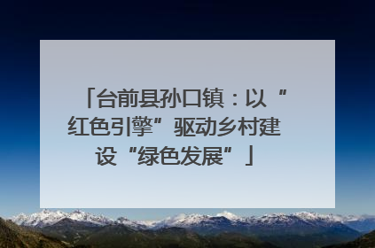 台前县孙口镇：以“红色引擎”驱动乡村建设“绿色发展”
