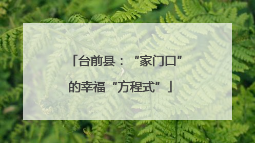 台前县：“家门口”的幸福“方程式”