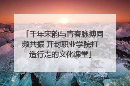 千年宋韵与青春脉搏同频共振 开封职业学院打造行走的文化课堂