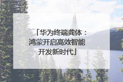 华为终端龚体：鸿蒙开启高效智能开发新时代