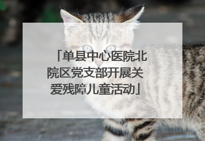 单县中心医院北院区党支部开展关爱残障儿童活动