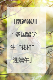 南通崇川：多国留学生“花样”迎端午