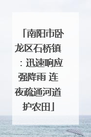 南阳市卧龙区石桥镇：迅速响应强降雨 连夜疏通河道护农田