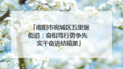 南阳市宛城区五里堡街道：奋楫笃行勇争先 实干奋进结硕果