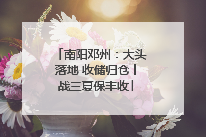 南阳邓州：大头落地 收储归仓丨战三夏保丰收