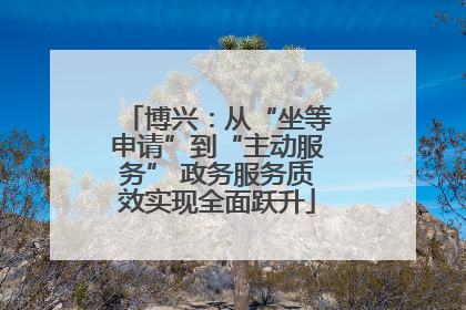 博兴：从“坐等申请”到“主动服务” 政务服务质效实现全面跃升