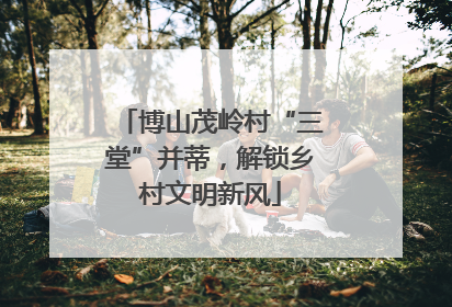 博山茂岭村“三堂”并蒂，解锁乡村文明新风