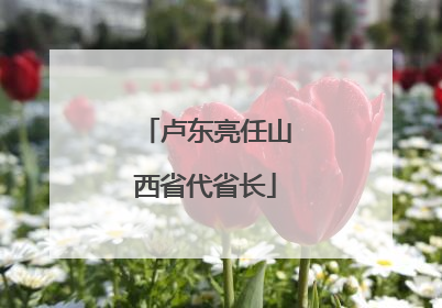 卢东亮任山西省代省长