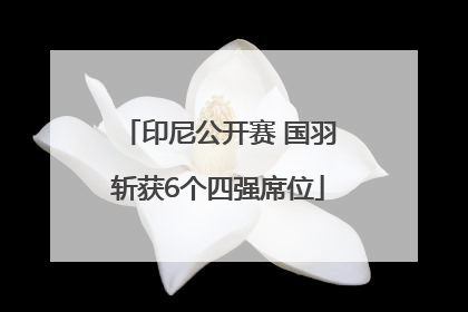 印尼公开赛 国羽斩获6个四强席位