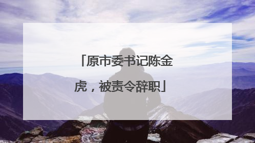 原市委书记陈金虎，被责令辞职