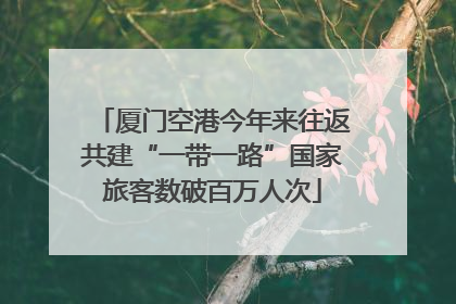 厦门空港今年来往返共建“一带一路”国家旅客数破百万人次