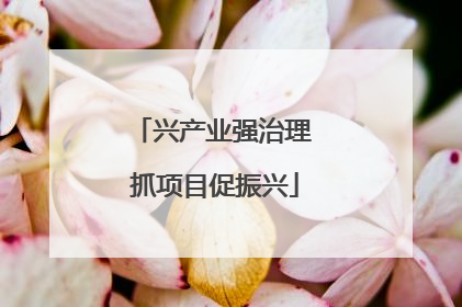 兴产业强治理 抓项目促振兴