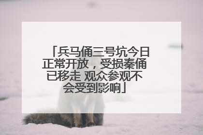 兵马俑三号坑今日正常开放，受损秦俑已移走 观众参观不会受到影响
