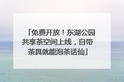 免费开放！东湖公园共享茶空间上线，自带茶具就能泡茶话仙
