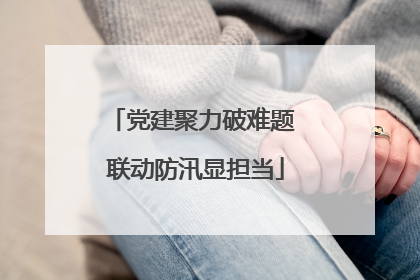 党建聚力破难题 联动防汛显担当