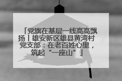 党旗在基层一线高高飘扬丨雄安新区雄县黄湾村党支部：在老百姓心里，筑起“一座山”