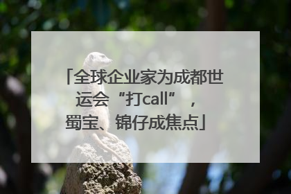 全球企业家为成都世运会“打call”，蜀宝、锦仔成焦点