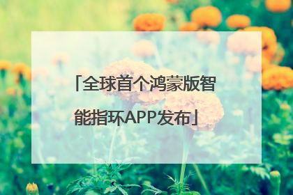 全球首个鸿蒙版智能指环APP发布
