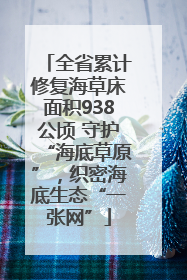 全省累计修复海草床面积938公顷 守护“海底草原”，织密海底生态“一张网”