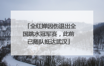 全红婵因伤退出全国跳水冠军赛，此前已随队抵达武汉