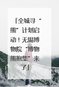 全城寻“熊”计划启动！无锡博物院“博物熊抱集”来了