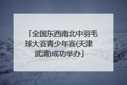 全国东西南北中羽毛球大赛青少年赛(天津武清)成功举办