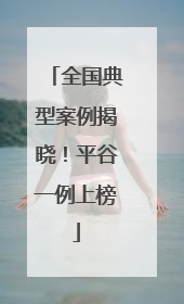 全国典型案例揭晓！平谷一例上榜