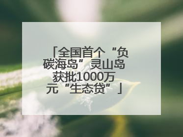 全国首个“负碳海岛”灵山岛获批1000万元“生态贷”
